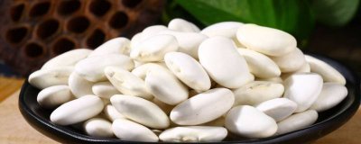 白豆和黄豆一样吗 白豆和黄豆有何异同？