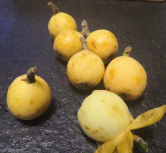 安徽水果特产有哪些 安徽特色水果有哪些？