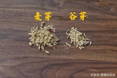 麦芽和大麦茶一样吗 麦芽和大麦茶有何区别？