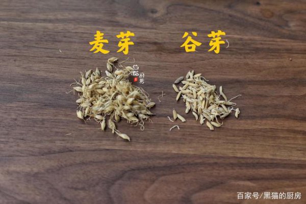 麦芽和大麦茶一样吗