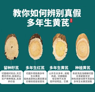 北芪和黄芪一样吗 北芪和黄芪有什么相同之处？