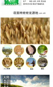 燕麦和小麦一样吗 燕麦与小麦有何区别？