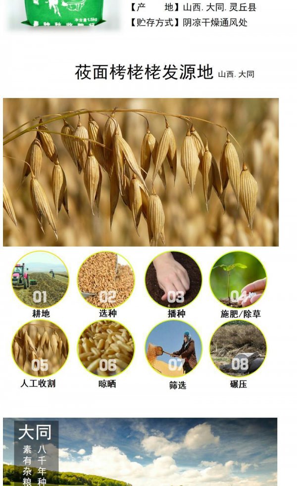 燕麦和小麦一样吗
