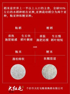 粳米和糯米一样吗 粳米与糯米有何相同之处？