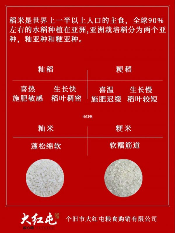 粳米和糯米一样吗