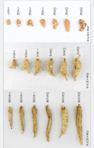 如何挑选花旗参整条的 如何选择完整的花旗参？