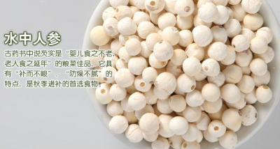 如何挑选芡实适合 挑选适合的芡实方法
如何选购适合的芡实