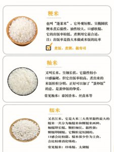 大米品种排名 大米种类排名