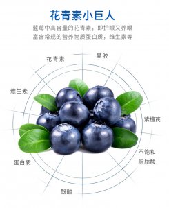 北方蓝莓品种排名 北方蓝莓品种优劣排序