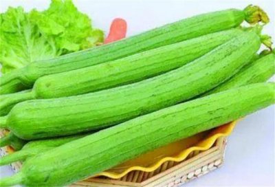 什么丝瓜品种最好吃 哪种丝瓜口感最佳