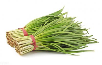 什么韭菜品种最好吃 哪种韭菜种类最美味