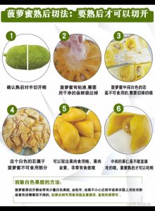 如何挑选菠萝蜜才好吃 选择甜美的菠萝蜜的技巧
