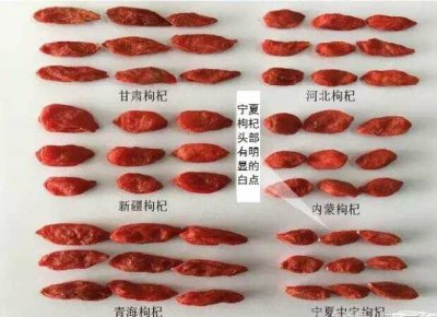 如何挑选枸杞质量最高 挑选高质量枸杞的方法
如何选购优质枸杞
