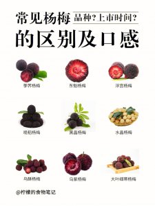 杨梅品种排名 杨梅品种的排名列表
杨梅品种的等级排名