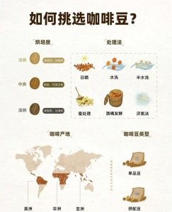 如何挑选咖啡豆最好 如何选择最适合的咖啡豆