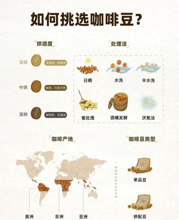 如何挑选咖啡豆最好