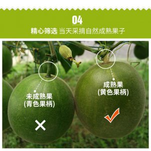 如何挑选罗汉果才算好 如何选择优质罗汉果？