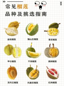 马来西亚榴莲品种排名 马来西亚榴莲种类排行