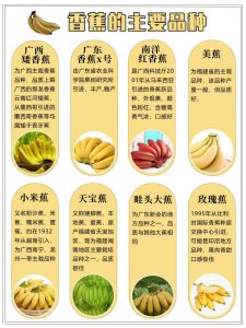 如何挑选香蕉才好吃 如何选购香蕉以确保口感美味
