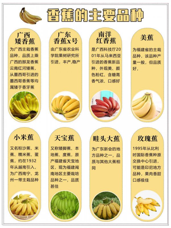 如何挑选香蕉才好吃