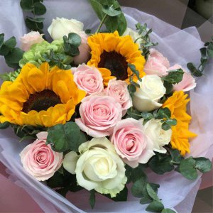 代表朋友的花 以友的花
友情之花
