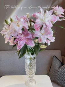 百合花插花瓶怎么养才不死 如何让百合花插花瓶保持生机