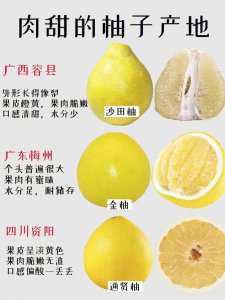 红心柚子一年四季都有吗 红心柚子全年都能品尝到吗？