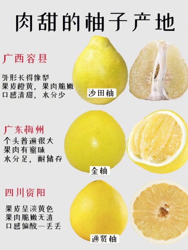 红心柚子一年四季都有吗