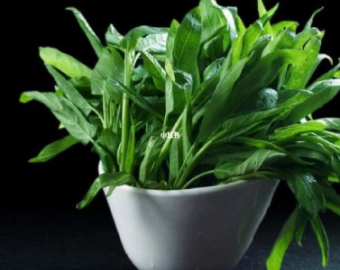 喜湿耐涝的蔬菜有哪些品种 适合多湿多水的蔬菜品种有哪些？