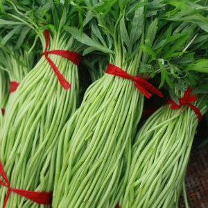 蒿类蔬菜有哪些品种 蒿菜有哪些种类？