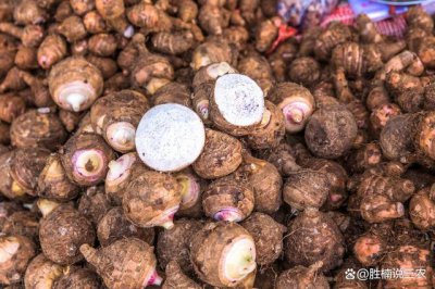 芋头哪个品种最好吃 哪一种芋头口感最棒？