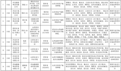 河北小麦品种排名 河北小麦品种综合排名
