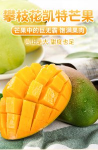 攀枝花芒果品种排名 攀枝花芒果品种的排名
