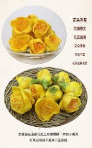 名贵金花茶品种排名 名贵金花茶种类排行