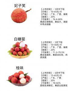 广东荔枝品种排名 广东荔枝种类排行