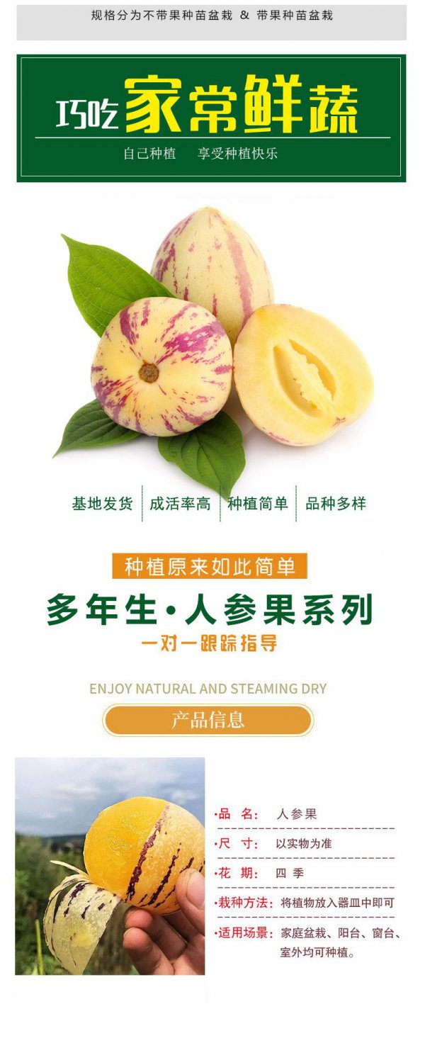 人参果一年四季都有吗