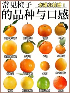 橘子一年四季都有吗 橘子全年都有吗？