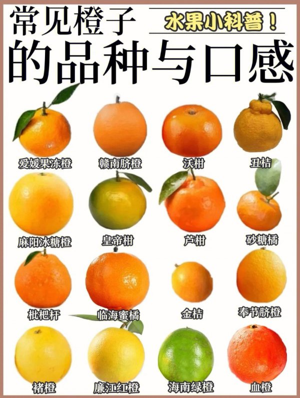 橘子一年四季都有吗