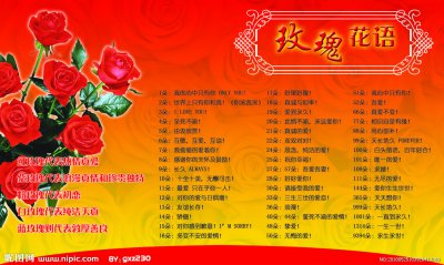11朵玫瑰花的花语是什么 11朵玫瑰的花语真诚与热情