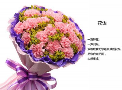 粉康乃馨花的花语是什么 粉康乃馨花的象征意义是什么？