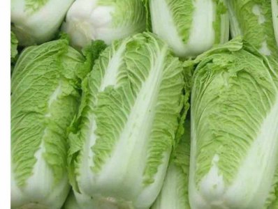 胶州大白菜哪个品种最好吃 哪种胶州大白菜口感最佳？