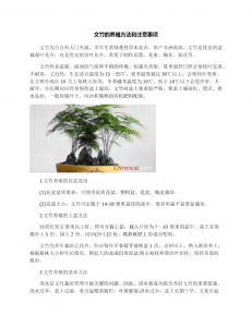 欧石竹的繁殖方法和注意事项 欧石竹的繁殖技巧及注意事项