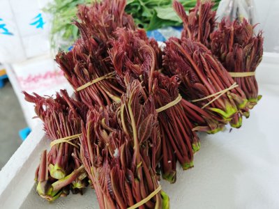 香椿什么时候上市 香椿何时上市？