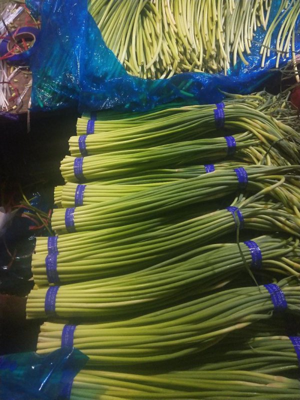 蒜苔什么时候上市