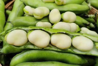 蚕豆什么季节成熟上市 蚕豆何时成熟上市？