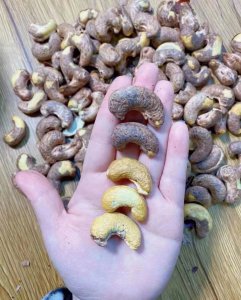 腰果什么季节成熟上市 腰果何时成熟上市？