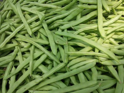 豆角什么季节成熟 豆角哪个季节收获最多