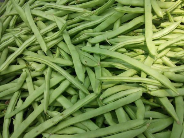 豆角什么季节成熟