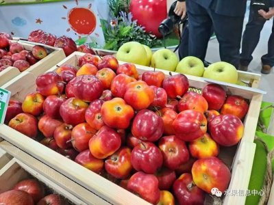 韩国著名水果种类 韩国盛产什么水果有名