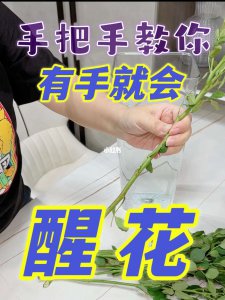 冬青怎么醒花 醒花方法与步骤
